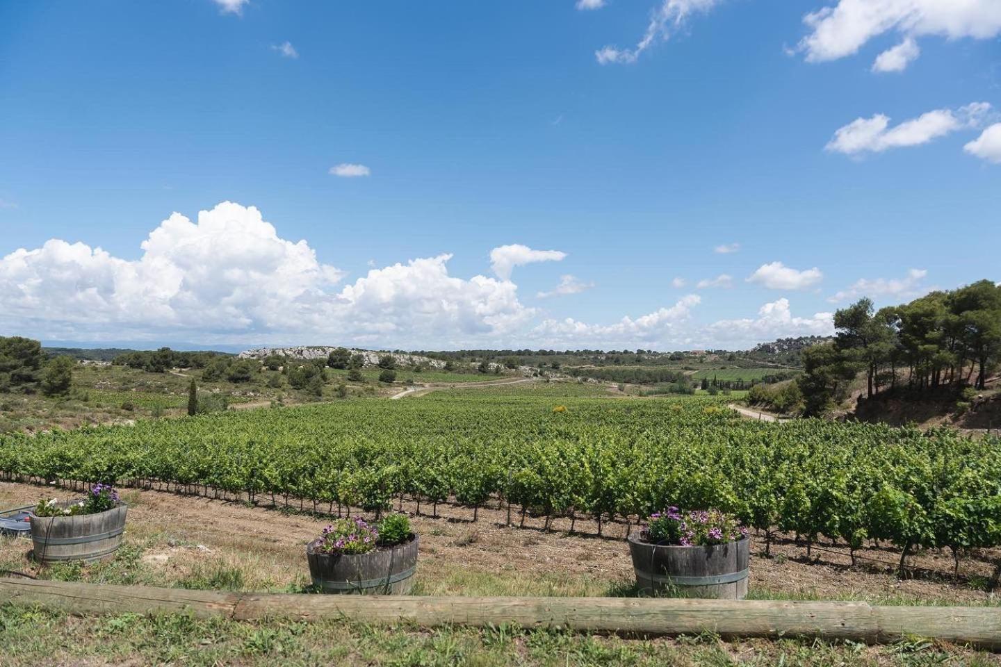 Chateau Catherine De Montgolfier B&B Et Gites Narbonne Bagian luar foto