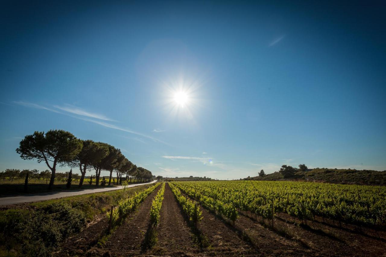 Chateau Catherine De Montgolfier B&B Et Gites Narbonne Bagian luar foto